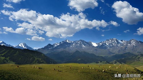 新疆旅游(新疆旅游必去十大景点) 新疆旅游(新疆旅游必去十大景点)