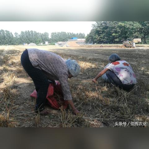 五分彩赚钱平台下载绿色版V88.17.36.50苹果版本-推荐