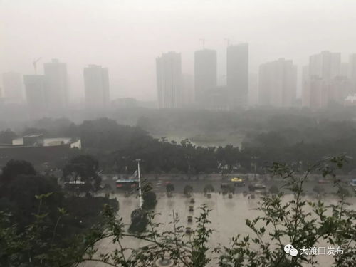 30天天气预报最准确（七台河30天天气预报最准确）
