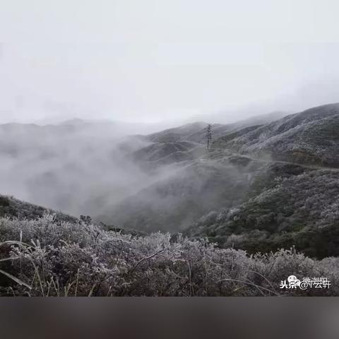 浏阳天气预报30天查询百度(浏阳天气预报15天查询最新消息) 浏阳天气预报30天查询百度(浏阳天气预报15天查询最新消息)