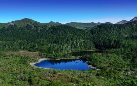 老君山天气预报(老君山天气预报15天准确一览表) 老君山天气预报(老君山天气预报15天准确一览表)