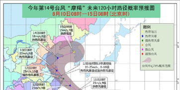 今日台风最新消息（今日台风最新消息是真的吗）