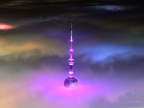 聊城天气预报查询一周（聊城天气预报实时查询）